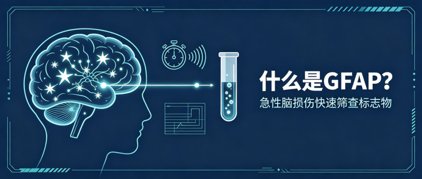 微信图片_2026-08-31_142557_384.png