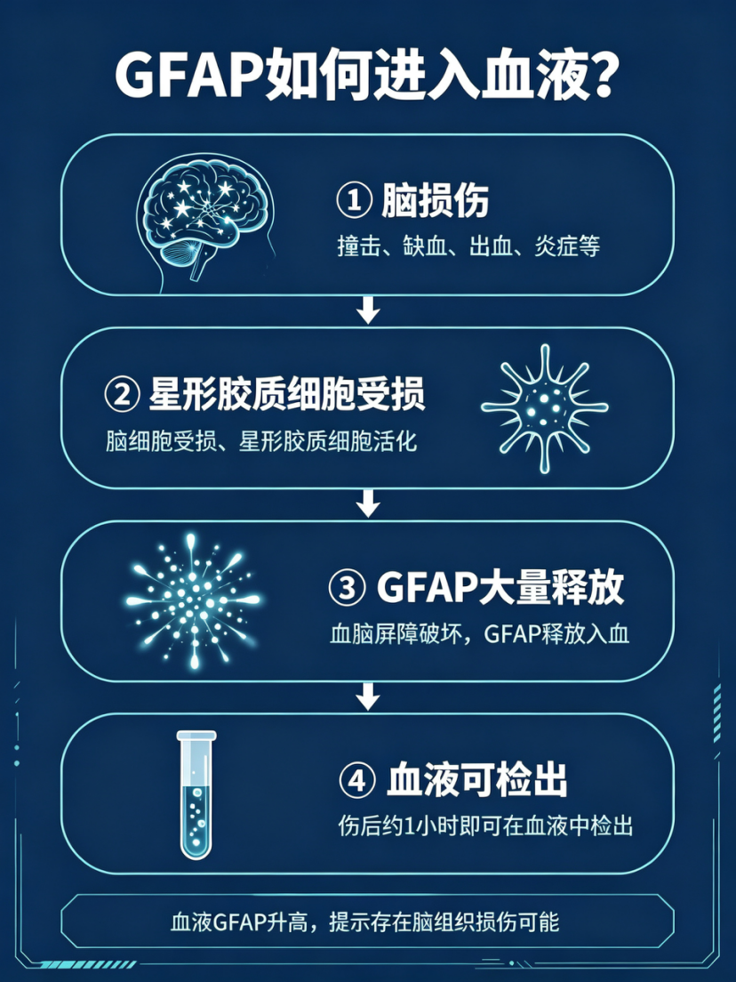 微信图片_2026-08-31_142636_265.png